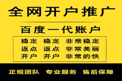 电商行业SEM运营的挑战与成功案例