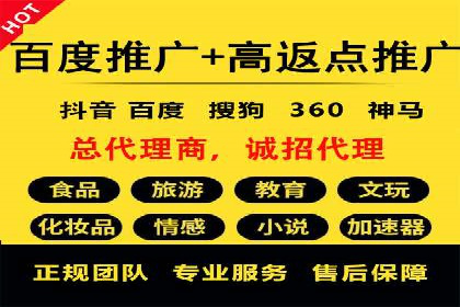 经典案例：SEM代运营服务公司的成功之路